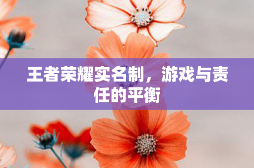 王者荣耀实名制，游戏与责任的平衡