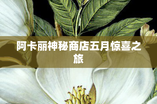阿卡丽神秘商店五月惊喜之旅 阿卡丽神秘商店五月惊喜之旅