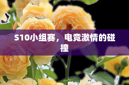 S10小组赛,电竞激情的碰撞 S10小组赛,电竞激情的碰撞
