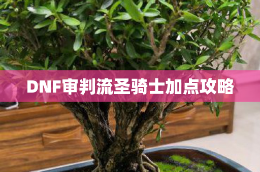 DNF审判流圣骑士加点攻略 DNF审判流圣骑士加点攻略