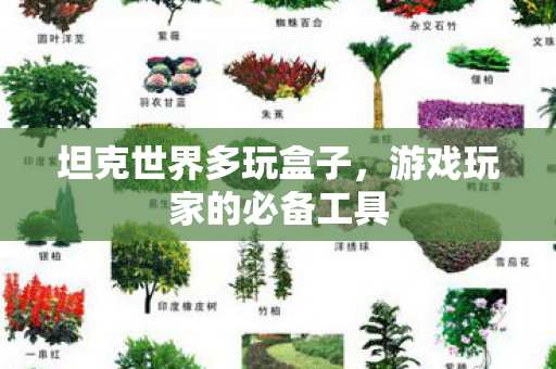 坦克世界多玩盒子，游戏玩家的必备工具