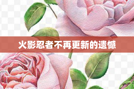 火影忍者不再更新的遗憾 火影忍者不再更新的遗憾