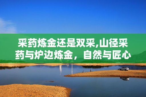 采药炼金还是双采,山径采药与炉边炼金,自然与匠心的对话 采药炼金还是双采,山径采药与炉边炼金,自然与匠心的对话