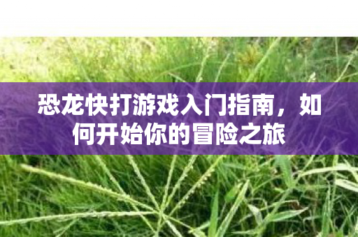 恐龙快打游戏入门指南,如何开始你的冒险之旅 恐龙快打游戏入门指南,如何开始你的冒险之旅