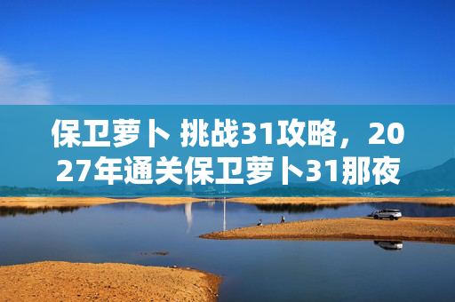 保卫萝卜 挑战31攻略，2027年通关保卫萝卜31那夜，她说等你，我鼻子一酸想起空荡房间