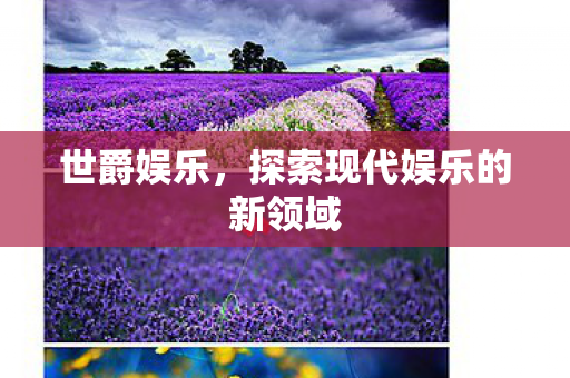 世爵娱乐,探索现代娱乐的新领域 世爵娱乐,探索现代娱乐的新领域