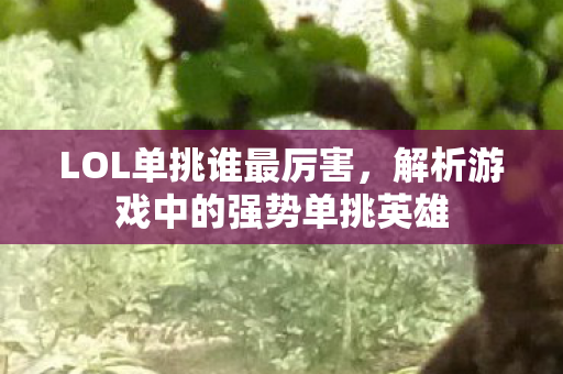 LOL单挑谁最厉害,解析游戏中的强势单挑英雄 LOL单挑谁最厉害,解析游戏中的强势单挑英雄