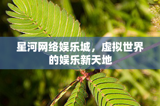 星河网络娱乐城，虚拟世界的娱乐新天地