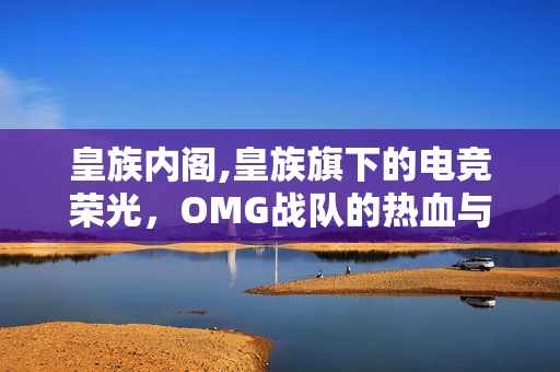 皇族内阁,皇族旗下的电竞荣光,OMG战队的热血与坚守 皇族内阁,皇族旗下的电竞荣光,OMG战队的热血与坚守