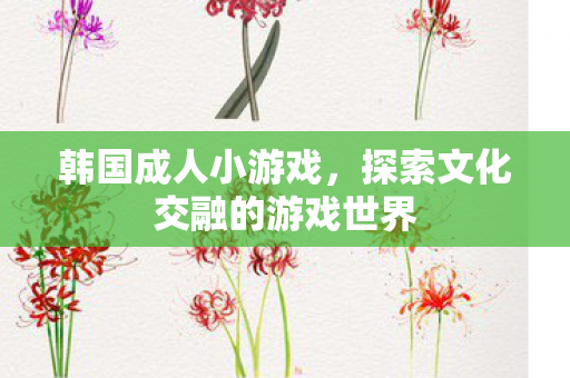韩国成人小游戏,探索文化交融的游戏世界 韩国成人小游戏,探索文化交融的游戏世界