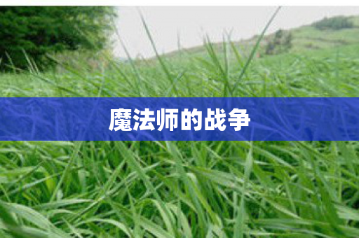 魔法师的战争 魔法师的战争