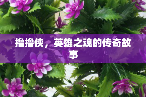 撸撸侠，英雄之魂的传奇故事