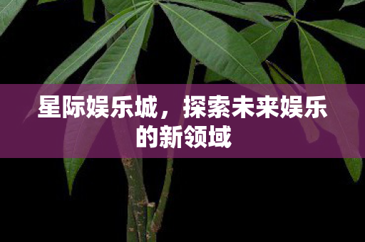 星际娱乐城,探索未来娱乐的新领域 星际娱乐城,探索未来娱乐的新领域