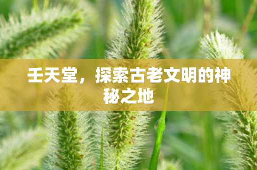 壬天堂,探索古老文明的神秘之地 壬天堂,探索古老文明的神秘之地