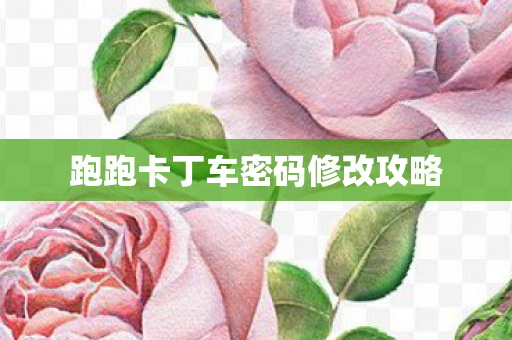 跑跑卡丁车密码修改攻略 跑跑卡丁车密码修改攻略