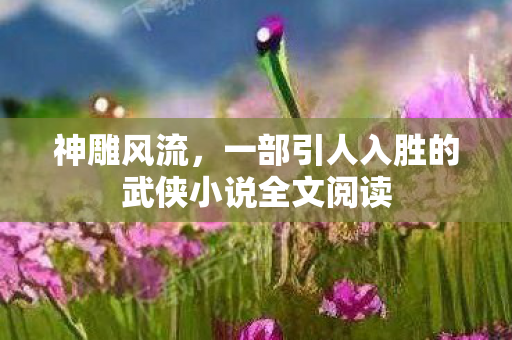 神雕风流,一部引人入胜的武侠小说全文阅读 神雕风流,一部引人入胜的武侠小说全文阅读