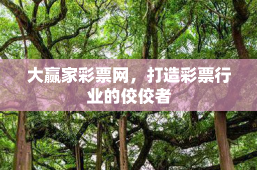 大赢家彩票网,打造彩票行业的佼佼者 大赢家彩票网,打造彩票行业的佼佼者