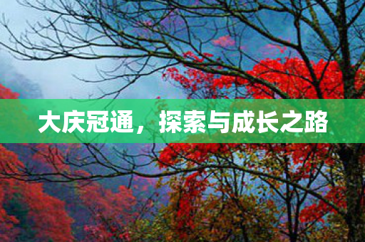 大庆冠通,探索与成长之路 大庆冠通,探索与成长之路