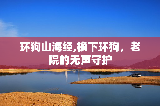环狗山海经,檐下环狗,老院的无声守护 环狗山海经,檐下环狗,老院的无声守护