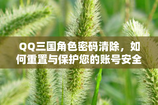 QQ三国角色密码清除,如何重置与保护您的账号安全 QQ三国角色密码清除,如何重置与保护您的账号安全