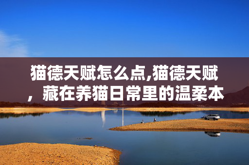猫德天赋怎么点,猫德天赋,藏在养猫日常里的温柔本能 猫德天赋怎么点,猫德天赋,藏在养猫日常里的温柔本能