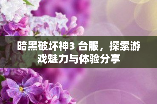 暗黑破坏神3 台服,探索游戏魅力与体验分享 暗黑破坏神3 台服,探索游戏魅力与体验分享