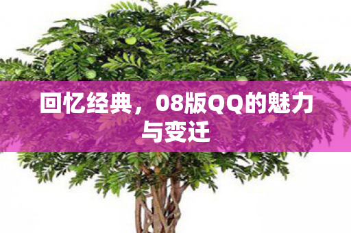 回忆经典,08版QQ的魅力与变迁 回忆经典,08版QQ的魅力与变迁