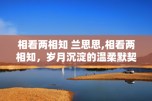 相看两相知 兰思思,相看两相知,岁月沉淀的温柔默契 相看两相知 兰思思,相看两相知,岁月沉淀的温柔默契