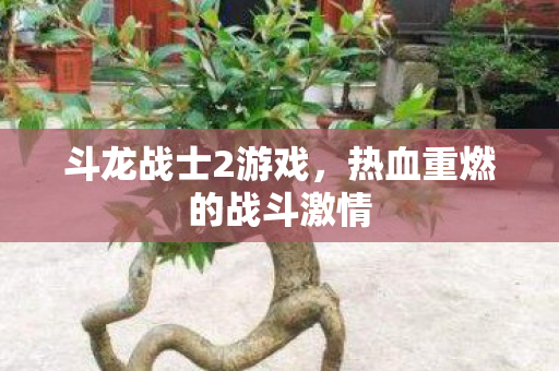 斗龙战士2游戏,热血重燃的战斗激情 斗龙战士2游戏,热血重燃的战斗激情