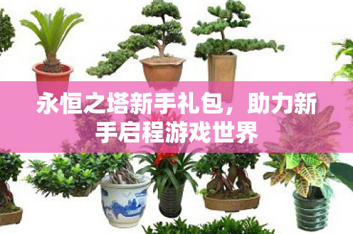 永恒之塔新手礼包,助力新手启程游戏世界 永恒之塔新手礼包,助力新手启程游戏世界
