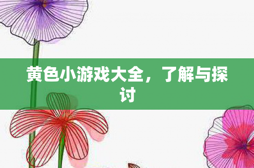黄色小游戏大全,了解与探讨 黄色小游戏大全,了解与探讨