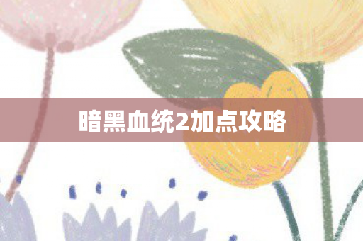 暗黑血统2加点攻略