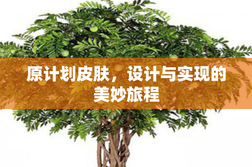 原计划皮肤,设计与实现的美妙旅程 原计划皮肤,设计与实现的美妙旅程