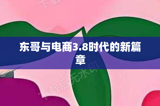东哥与电商3.8时代的新篇章 东哥与电商3.8时代的新篇章