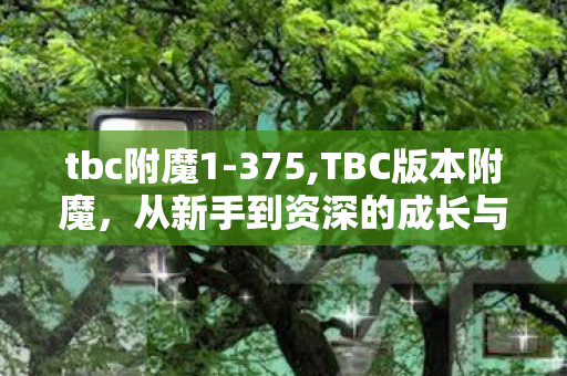tbc附魔1-375,TBC版本附魔，从新手到资深的成长与价值