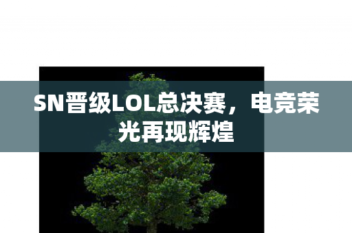 SN晋级LOL总决赛，电竞荣光再现辉煌