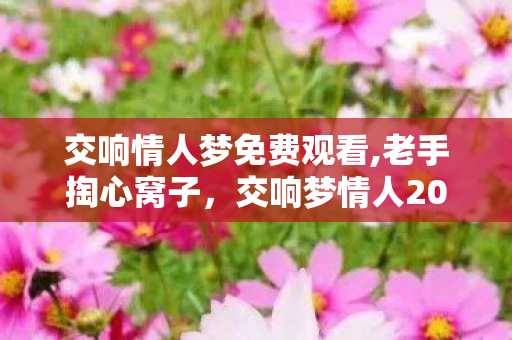 交响情人梦免费观看,老手掏心窝子,交响梦情人2026年亲测版,几个坑我替你踩过了别再乱交学费 交响情人梦免费观看,老手掏心窝子,交响梦情人2026年亲测版,几个坑我替你踩过了别再乱交学费