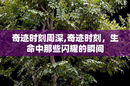 奇迹时刻周深,奇迹时刻,生命中那些闪耀的瞬间 奇迹时刻周深,奇迹时刻,生命中那些闪耀的瞬间