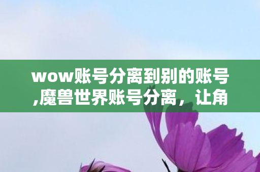 wow账号分离到别的账号,魔兽世界账号分离,让角色开启专属新旅途 wow账号分离到别的账号,魔兽世界账号分离,让角色开启专属新旅途