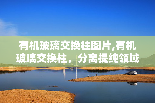 有机玻璃交换柱图片,有机玻璃交换柱，分离提纯领域的透明实用之选