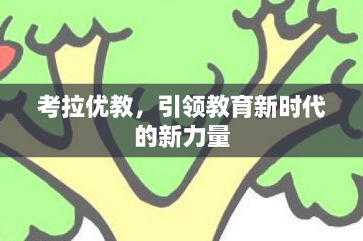 考拉优教,引领教育新时代的新力量 考拉优教,引领教育新时代的新力量