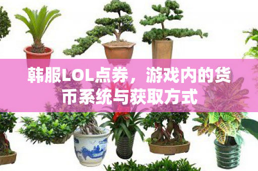 韩服LOL点券,游戏内的货币系统与获取方式 韩服LOL点券,游戏内的货币系统与获取方式
