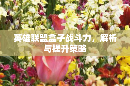 英雄联盟盒子战斗力,解析与提升策略 英雄联盟盒子战斗力,解析与提升策略