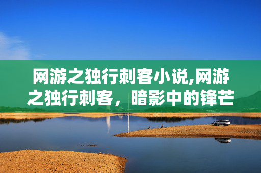 网游之独行刺客小说,网游之独行刺客,暗影中的锋芒 网游之独行刺客小说,网游之独行刺客,暗影中的锋芒