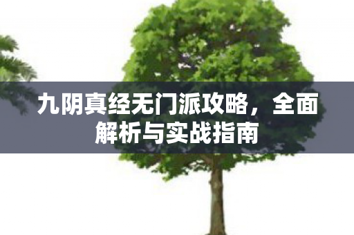九阴真经无门派攻略,全面解析与实战指南 九阴真经无门派攻略,全面解析与实战指南