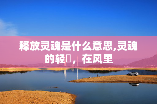 释放灵魂是什么意思,灵魂的轻飏,在风里 释放灵魂是什么意思,灵魂的轻飏,在风里