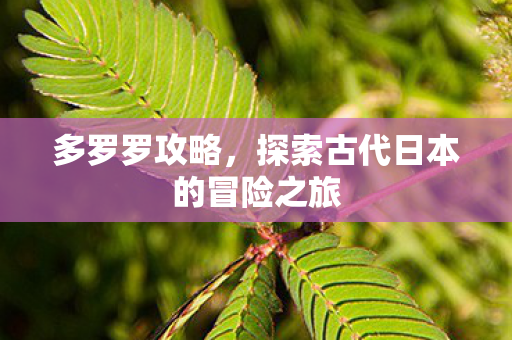 多罗罗攻略,探索古代日本的冒险之旅 多罗罗攻略,探索古代日本的冒险之旅
