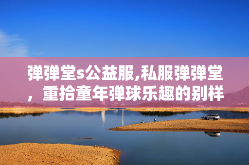弹弹堂s公益服,私服弹弹堂,重拾童年弹球乐趣的别样天地 弹弹堂s公益服,私服弹弹堂,重拾童年弹球乐趣的别样天地