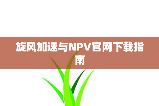 旋风加速与NPV官网下载指南 旋风加速与NPV官网下载指南