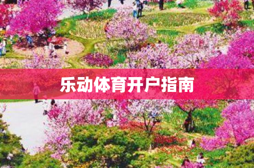 乐动体育开户指南 乐动体育开户指南